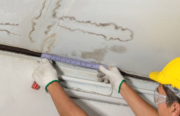 Reliable Basement Flood Cleanup contractor in Newport, TN by Hirex Water Damage